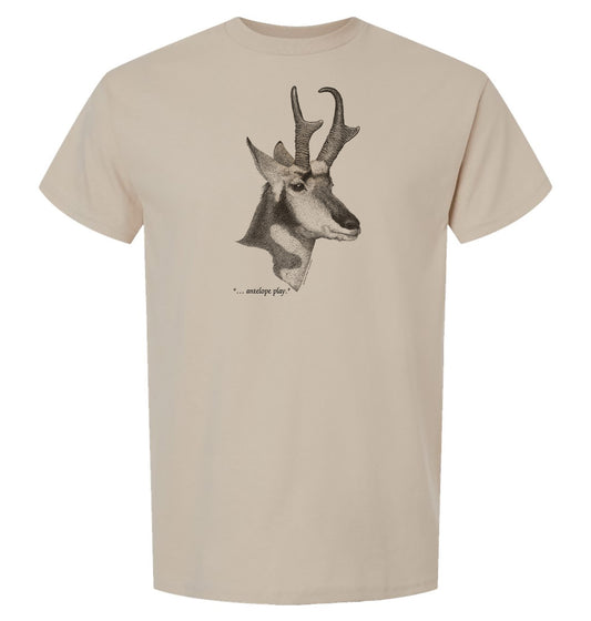 Pronghorn