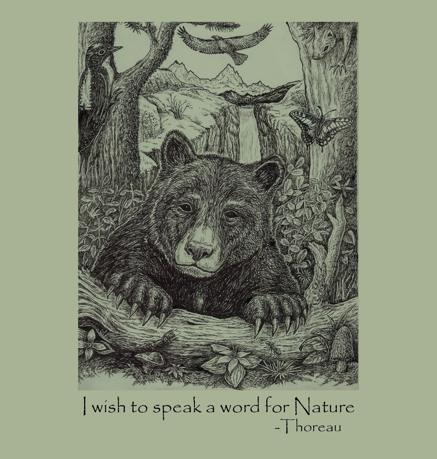 Bear Wonder T-Shirt