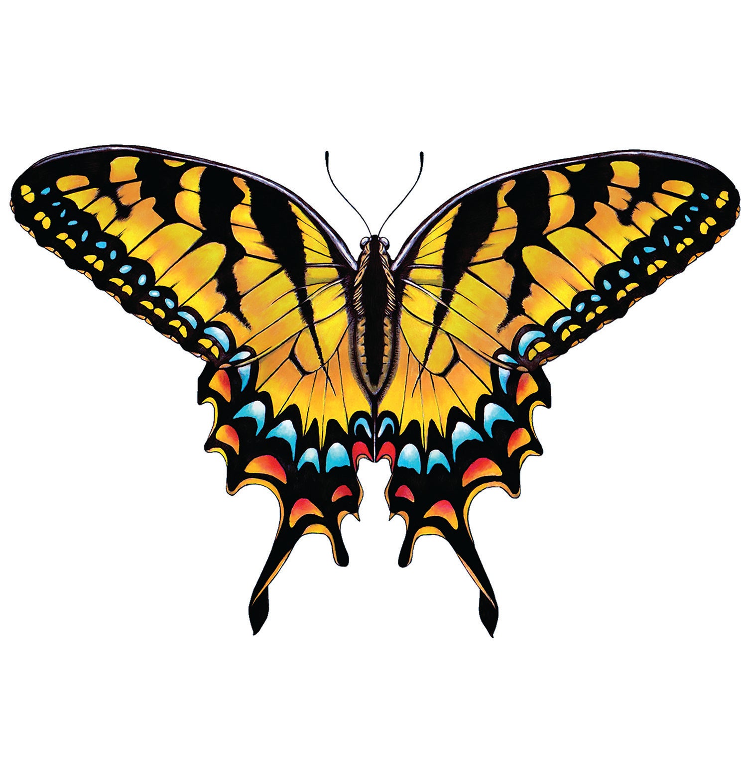 Butterfly T-Shirt