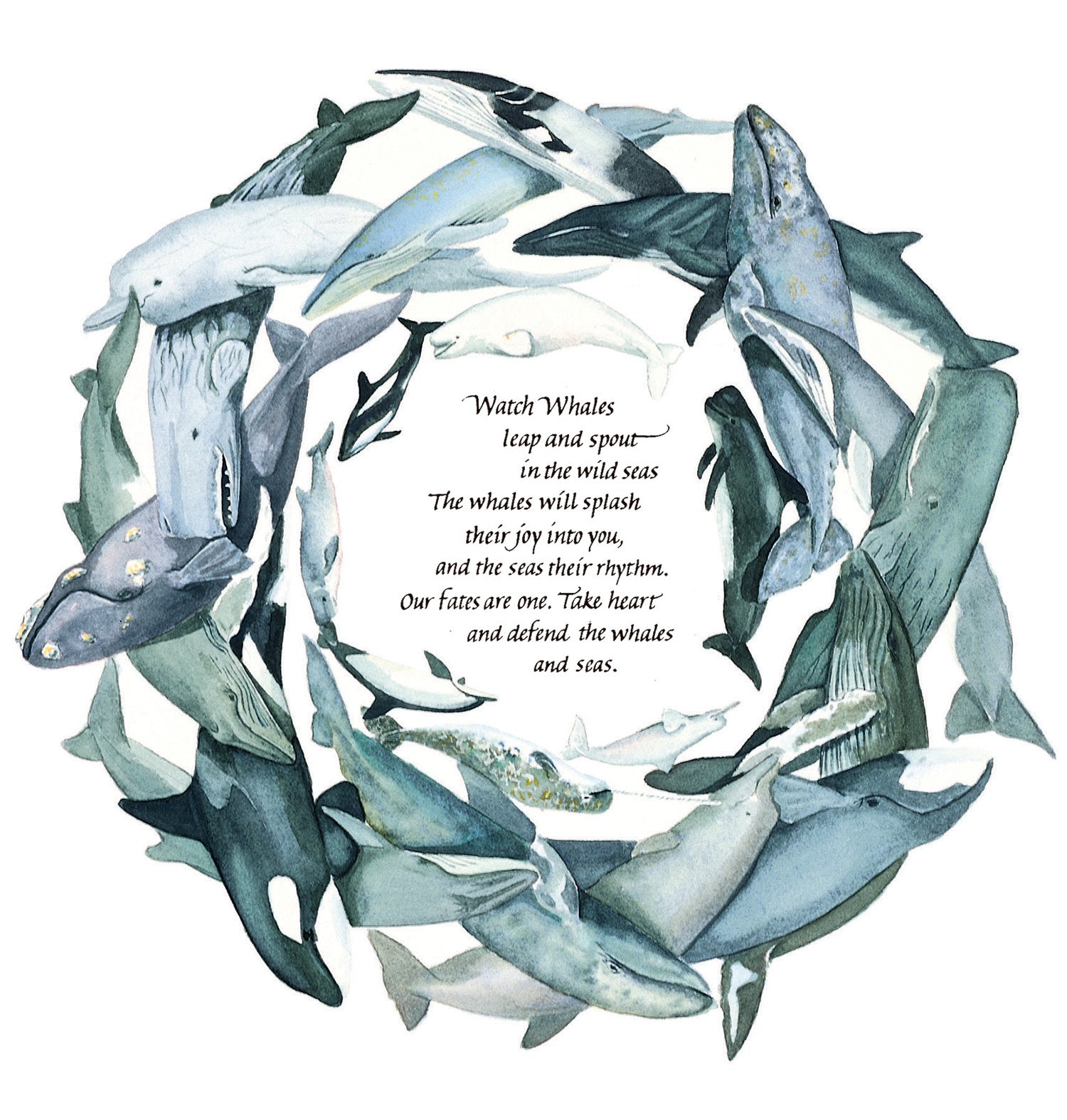 Celebration of Whales T-Shirt