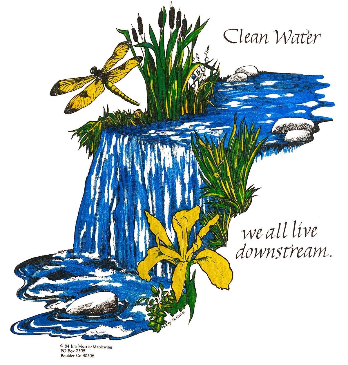 Clean Water