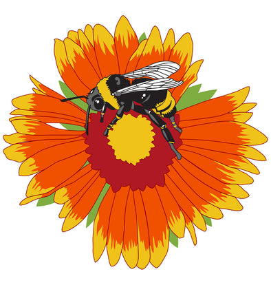 Colorado Pollinator Network Fundraiser