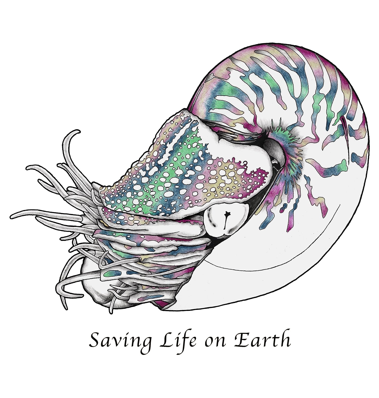T-shirt Northern Rockies Biodiversity Project - USA - Oneita Coton Taille L