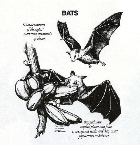 Bats