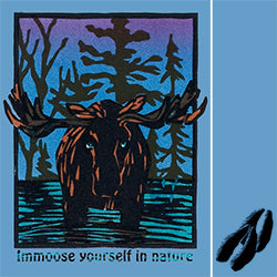 moose from web