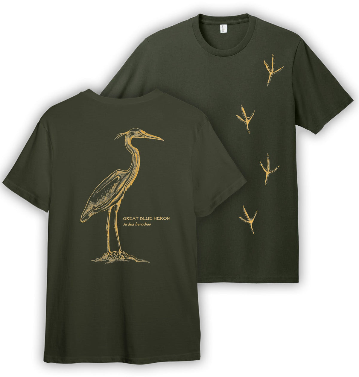 Birds