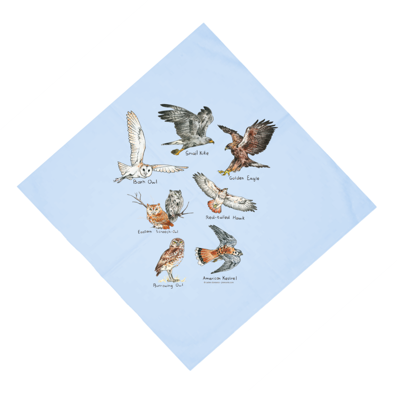 Birds of Prey Bandana