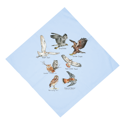 Birds of Prey Bandana