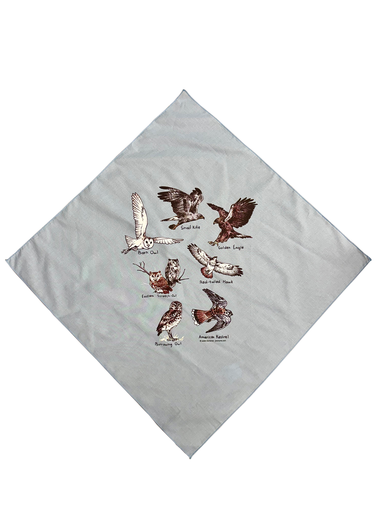Birds of Prey Bandana