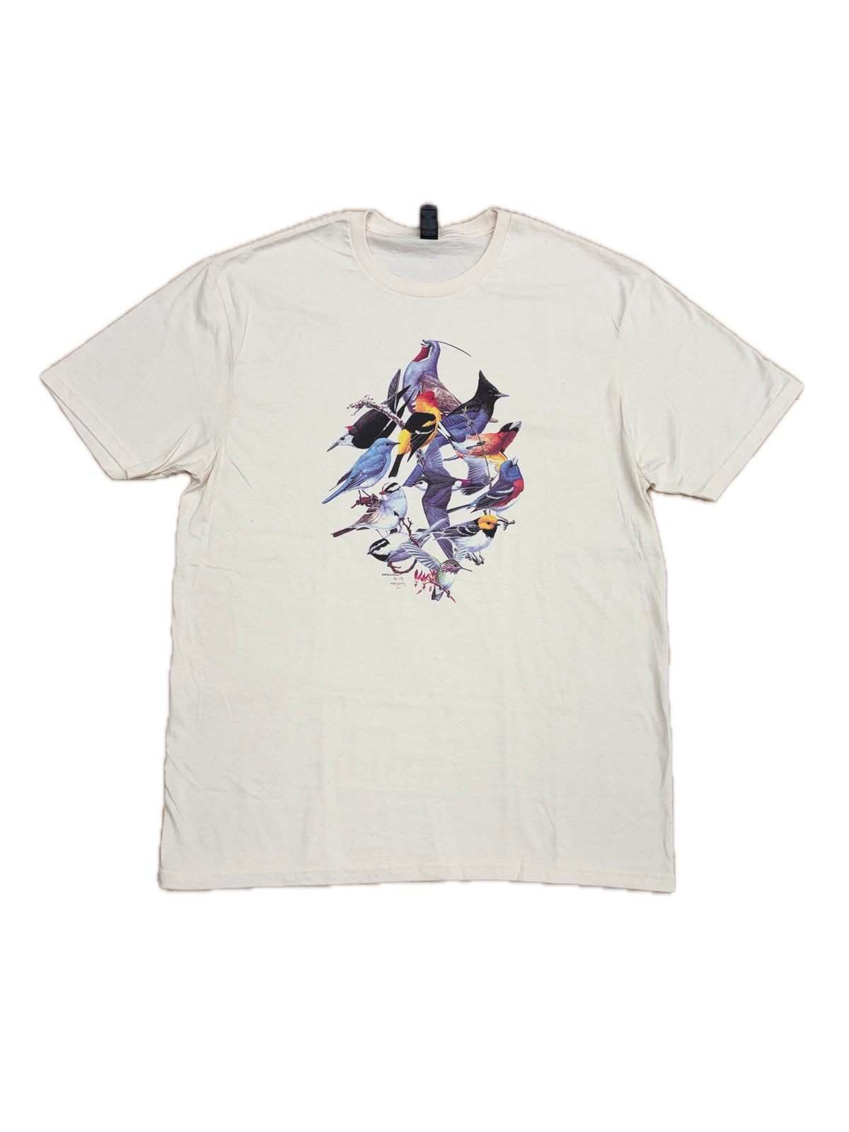 Sierra Birds
