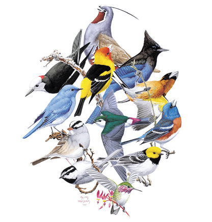 Sierra Birds