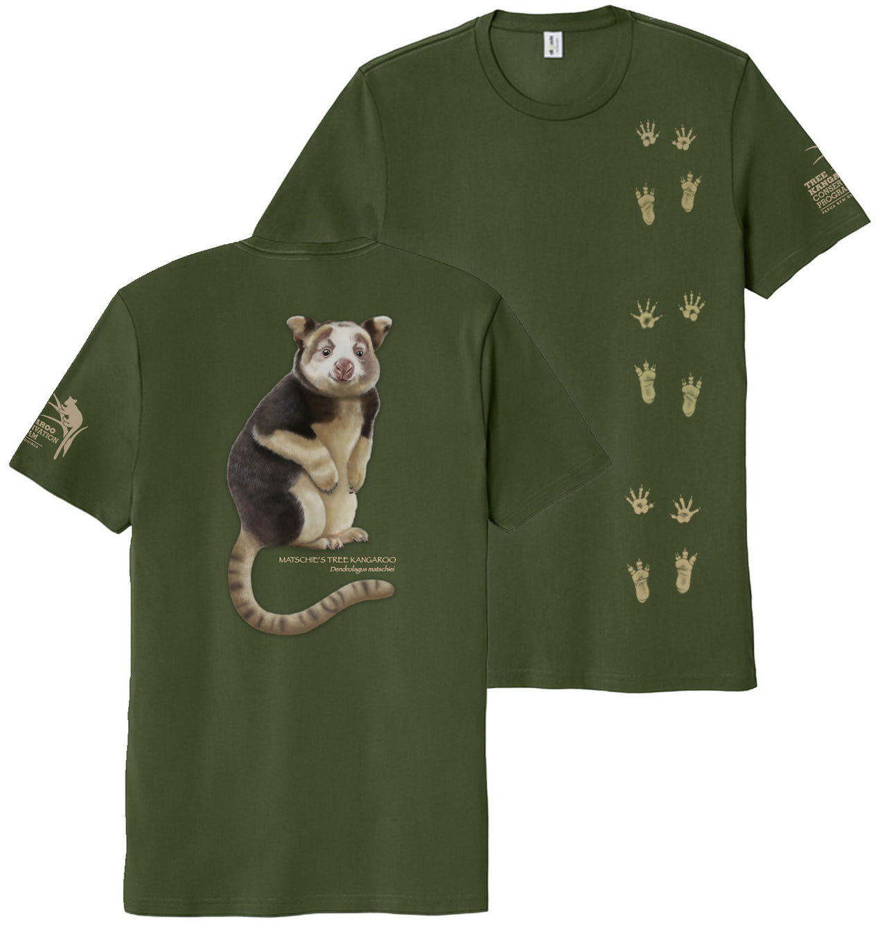 Matschie's Tree Kangaroo