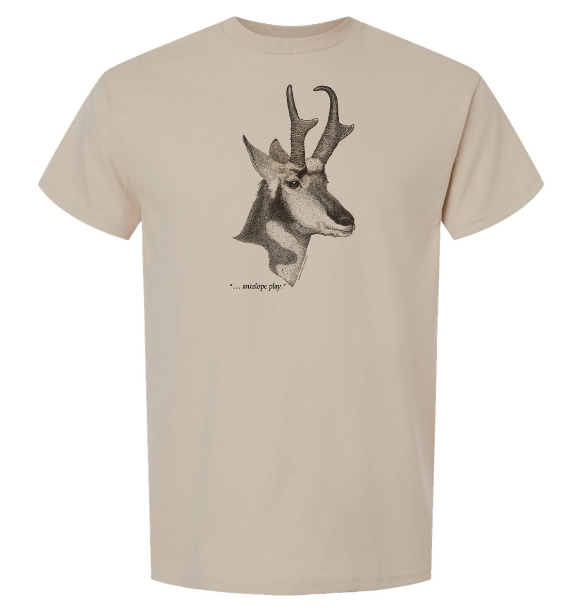Pronghorn