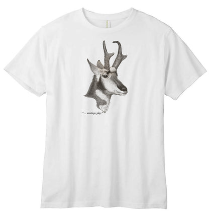 Pronghorn