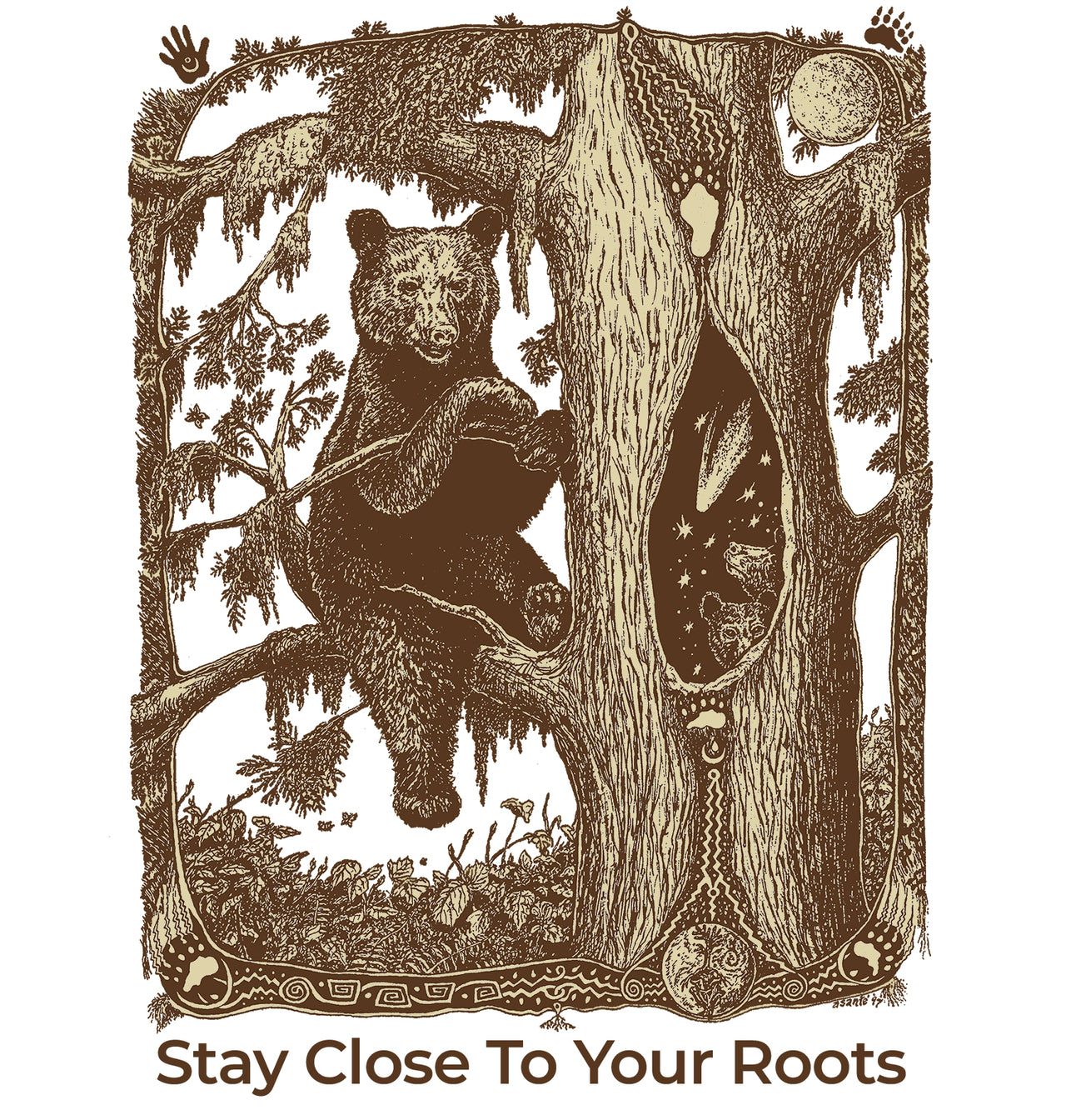 Bear Comet - Defenders of Wildlife Collaboration