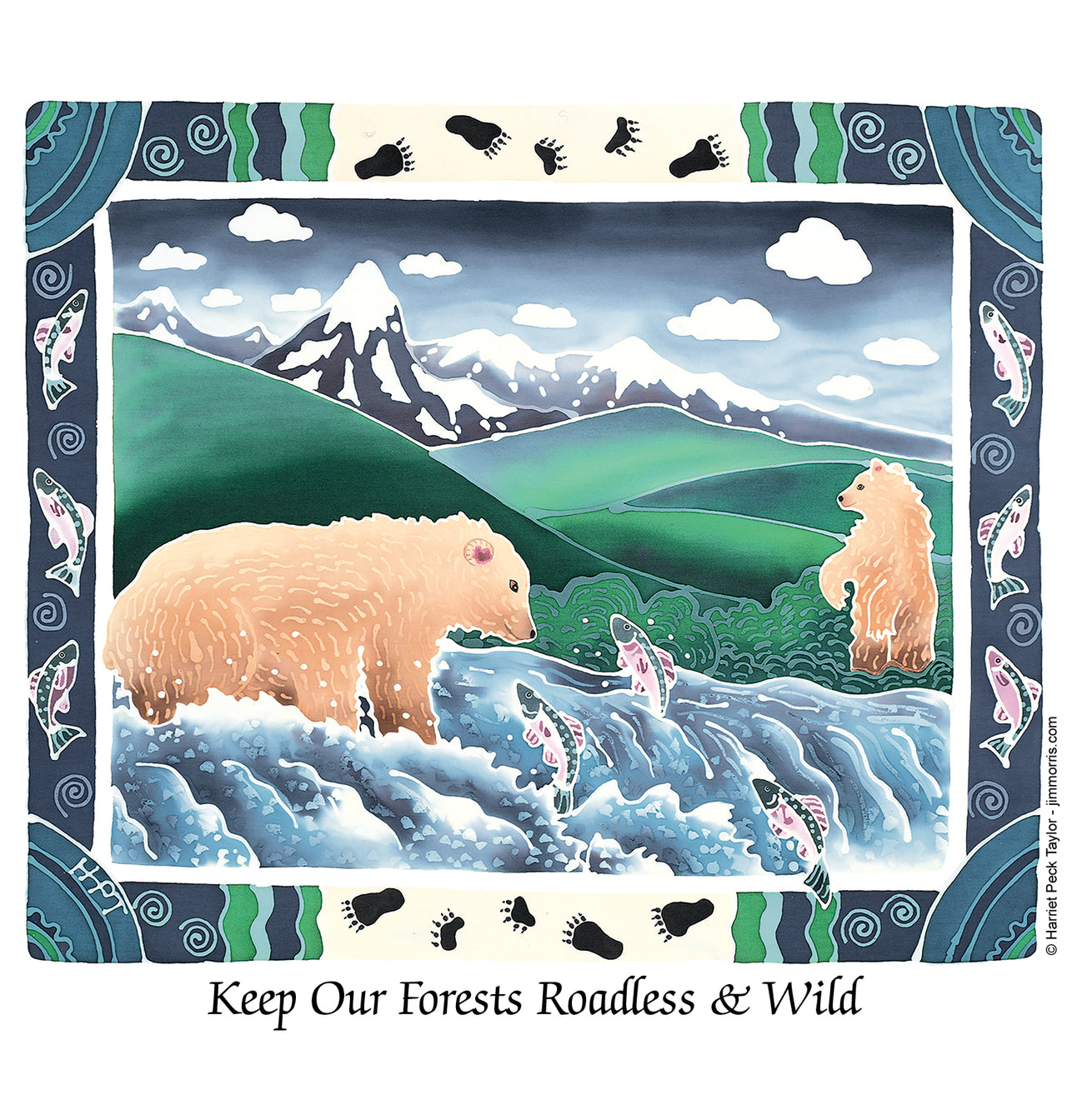 Bears and Salmon - WildEarth Guardians Collaboration