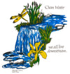 Clean Water