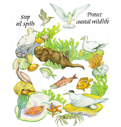 Coastal Wildlife
