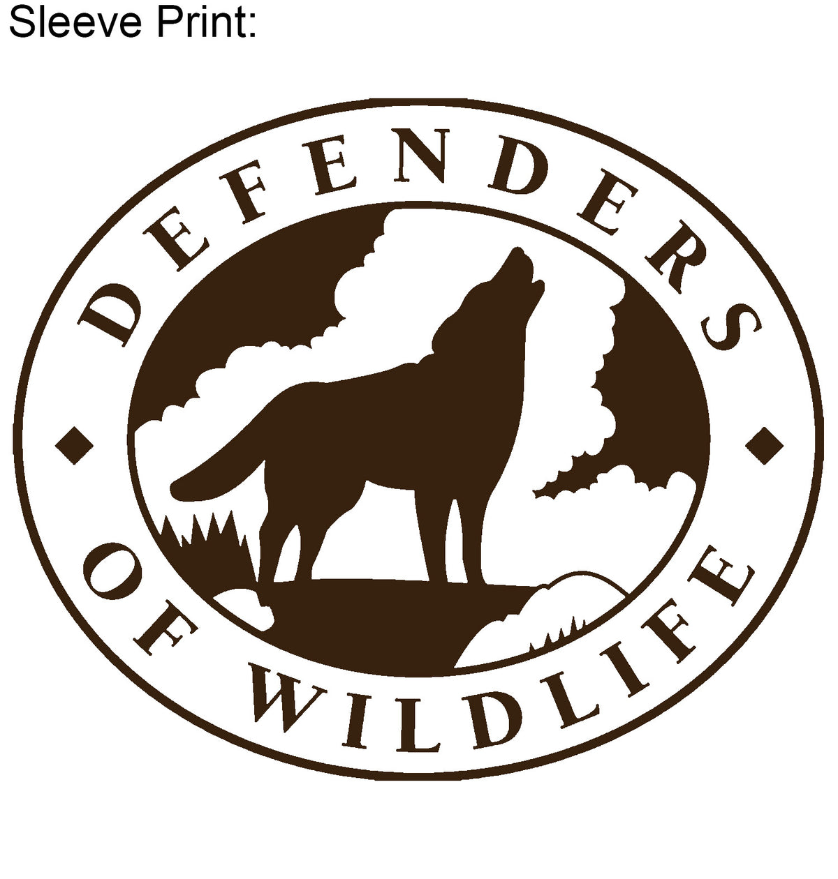 Bear Comet - Defenders of Wildlife Collaboration