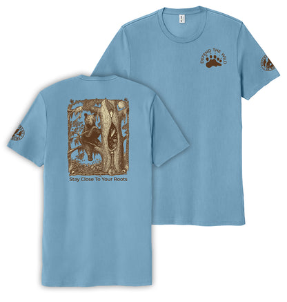 Bear Comet - Defenders of Wildlife Collaboration
