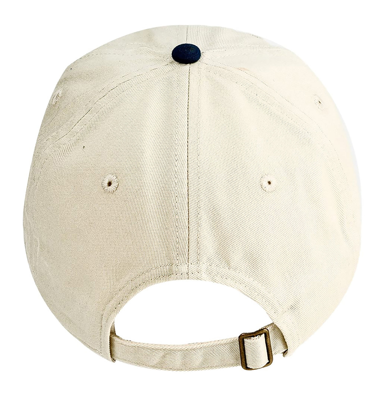 Dolphin Hat - EarthDay.org Collaboration