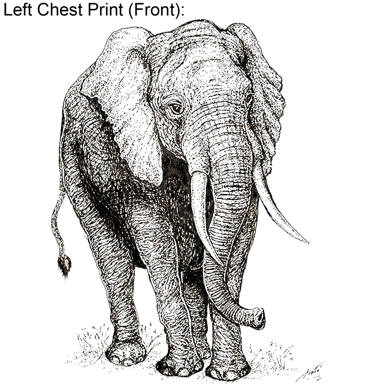 Elephants - Environmental Investigation Agency Collaboration