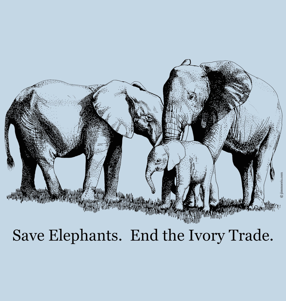Elephants - Environmental Investigation Agency Collaboration