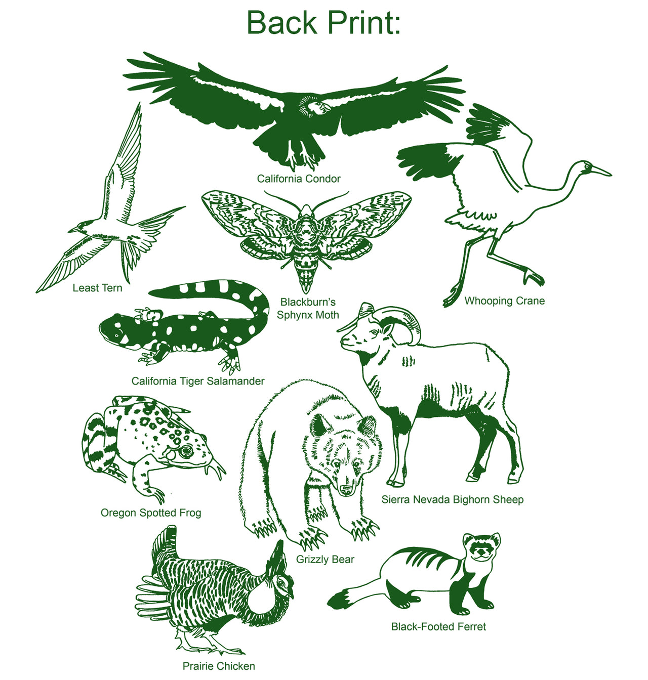 Endangered Species of North America
