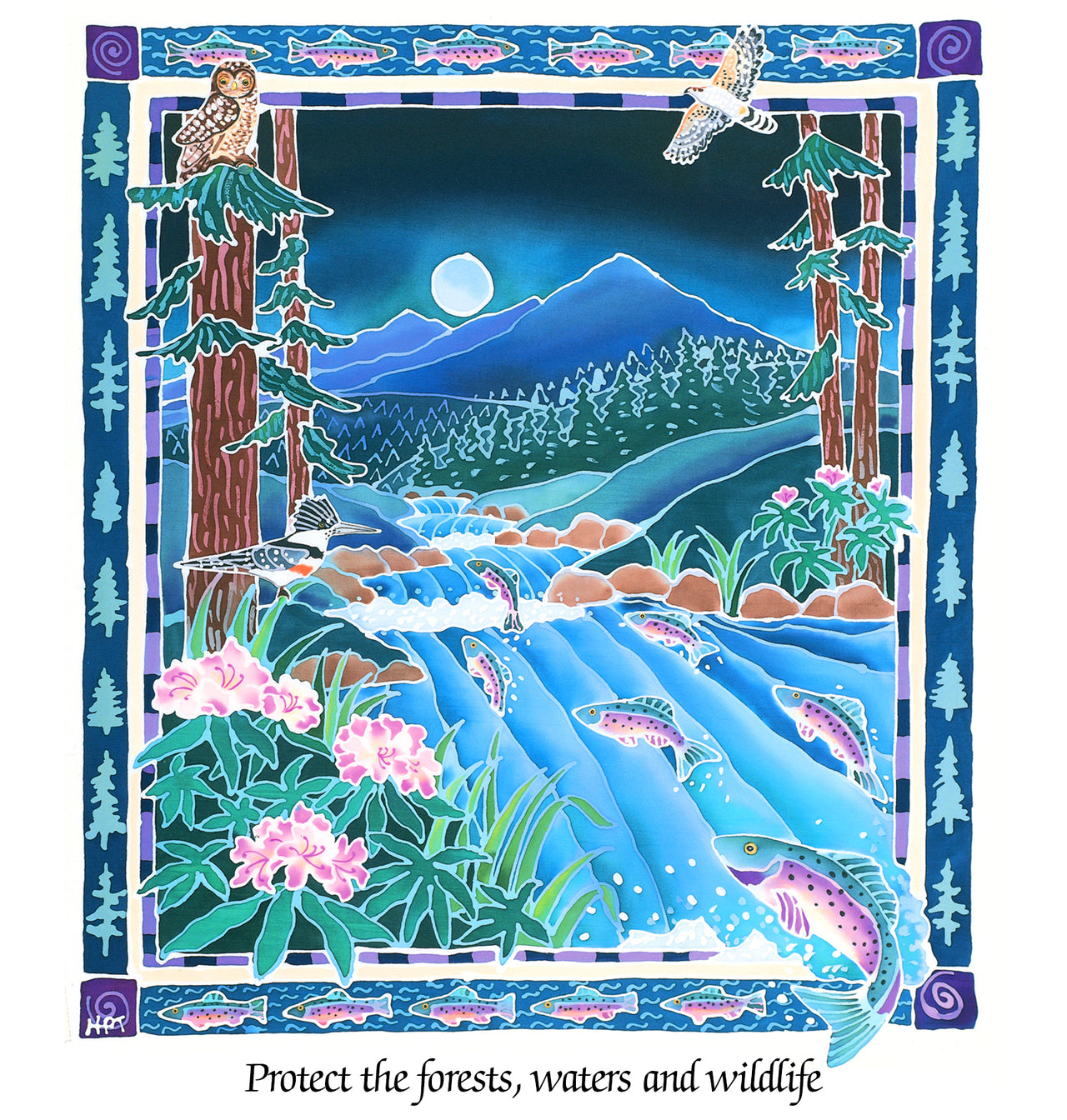 Forest Stream - EPIC Collaboration