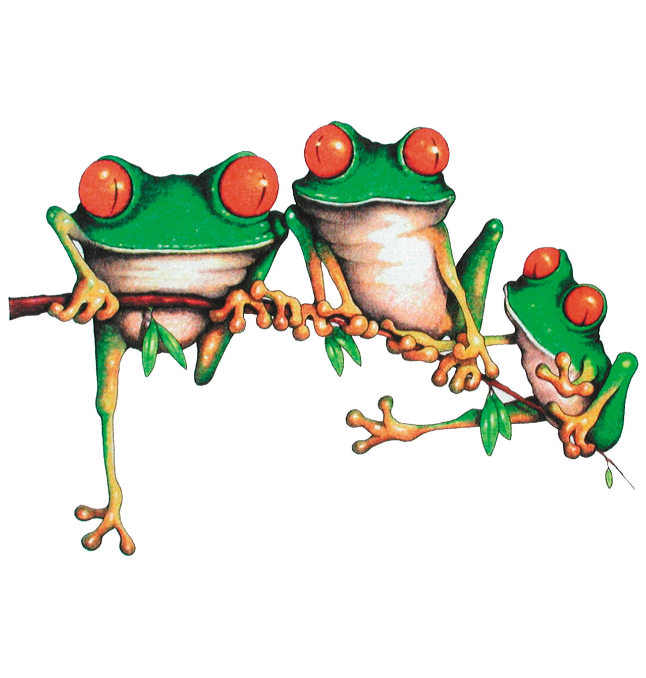 Frog Family
