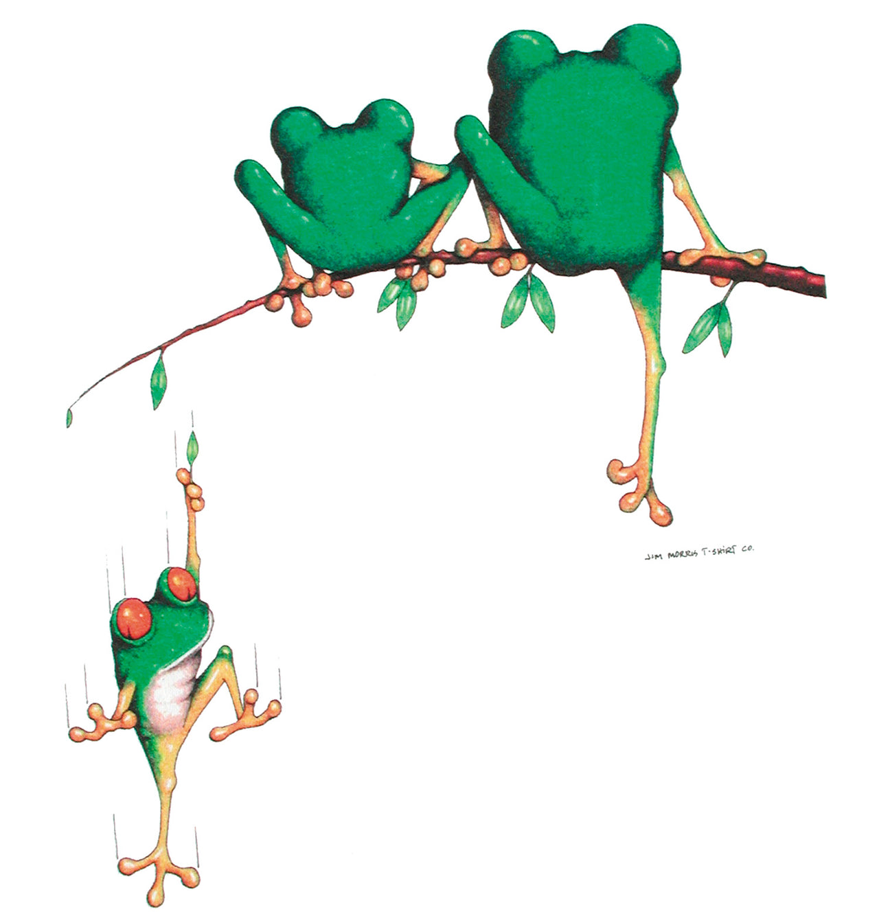 Frog Family