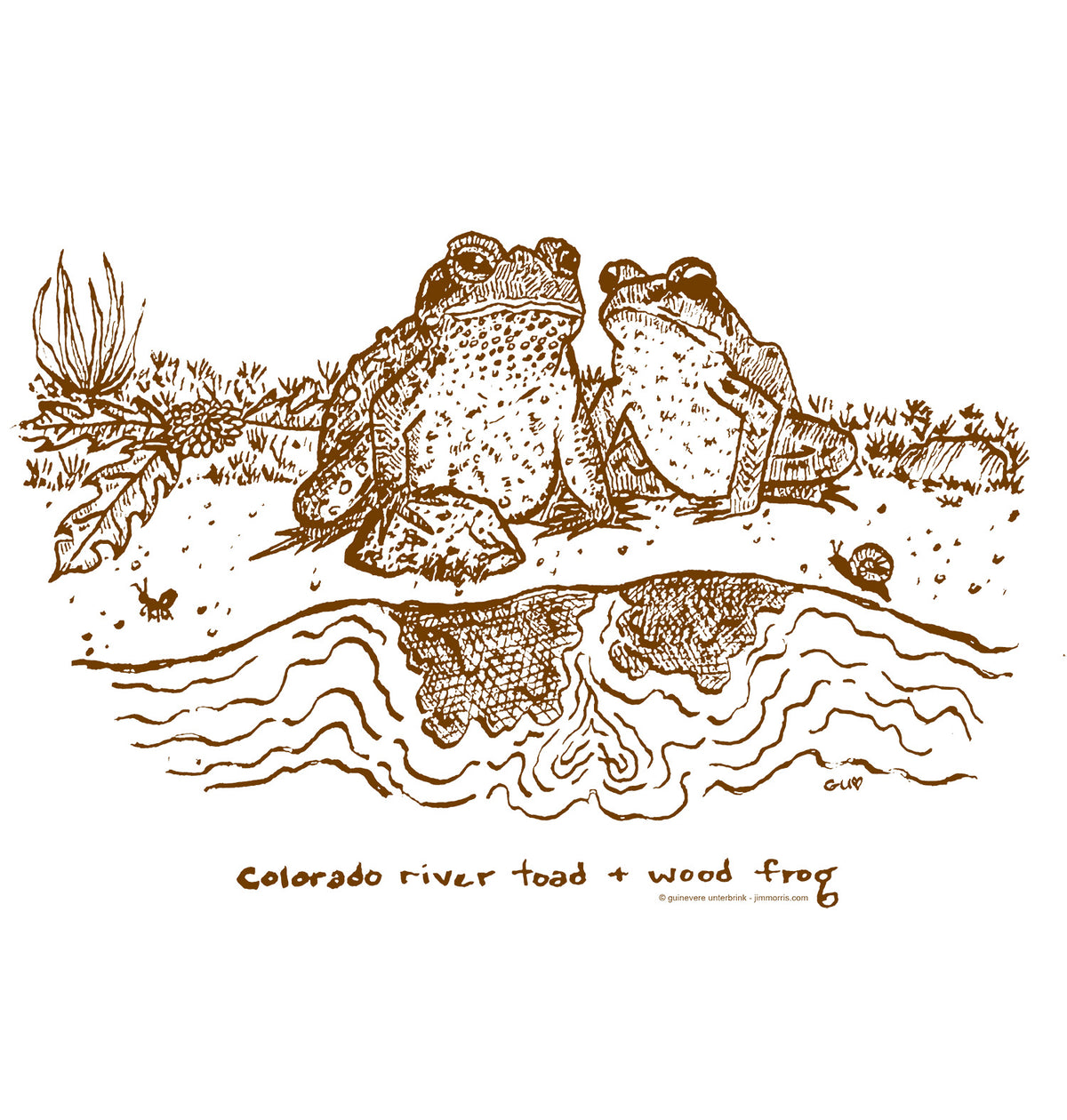 Frog and Toad