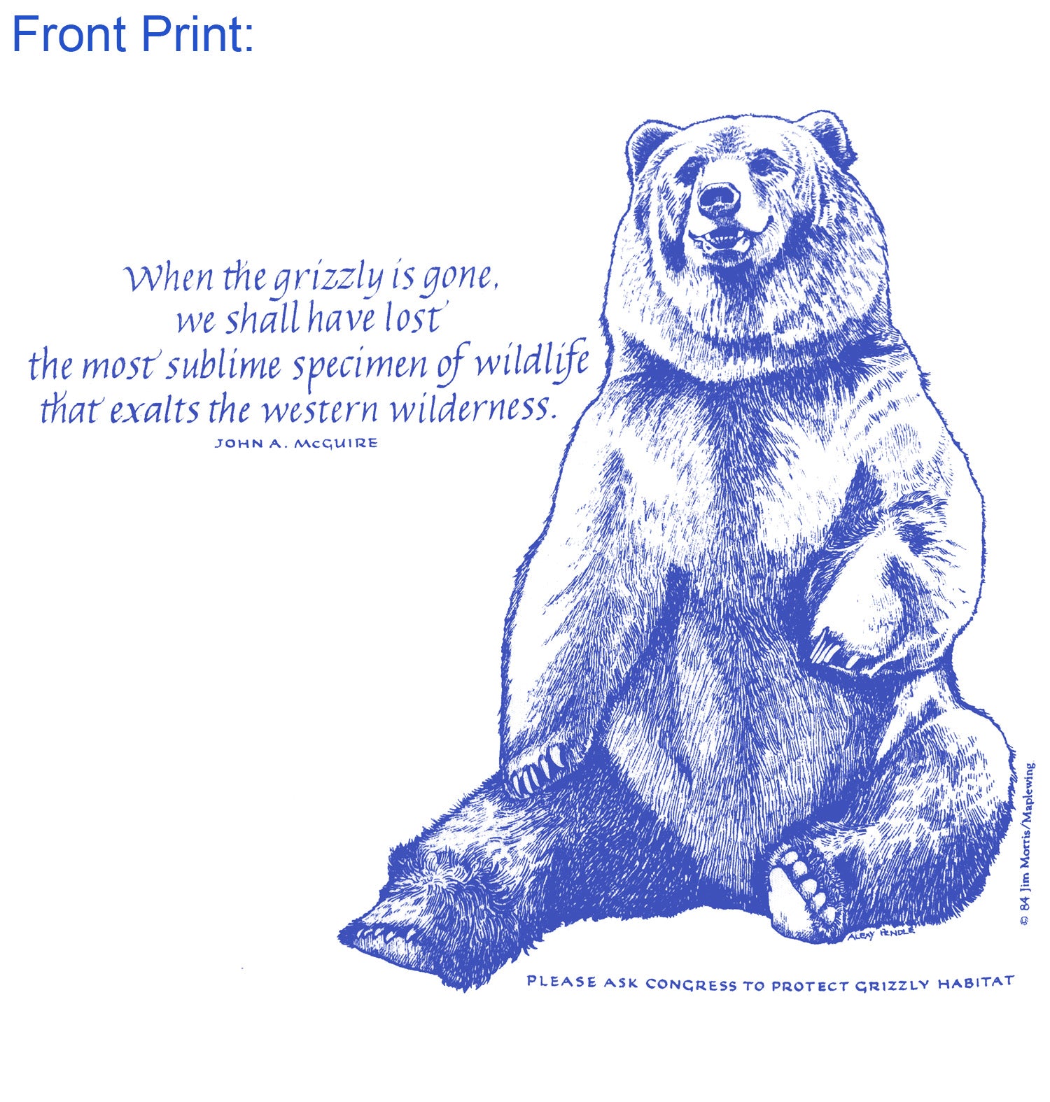 Grizzly Bear / Wilderness