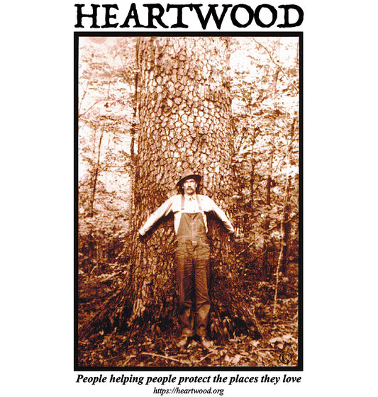 Heartwood