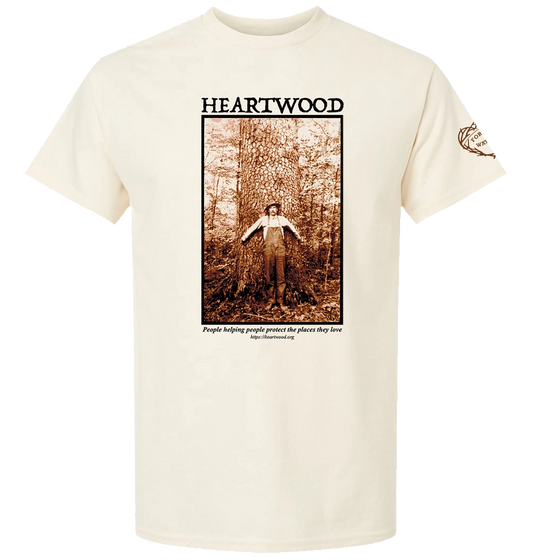 Heartwood