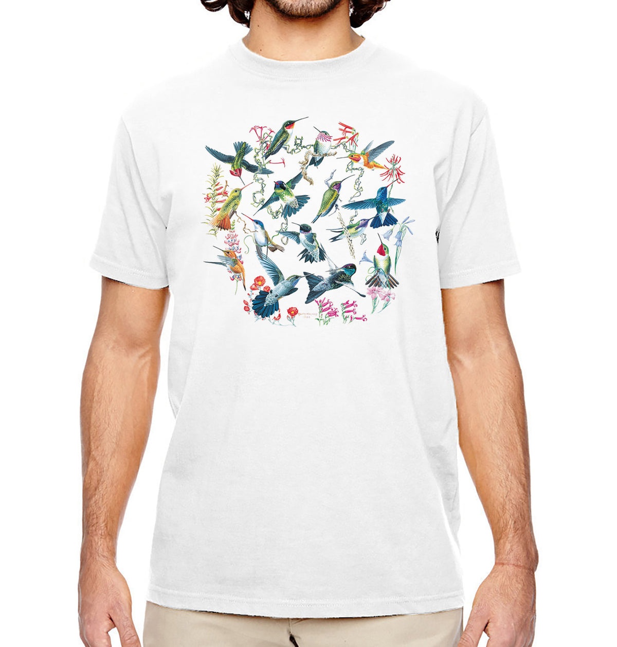 Hummingbirds