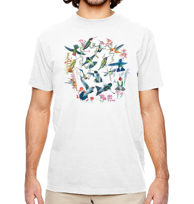 Hummingbirds