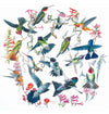 Hummingbirds