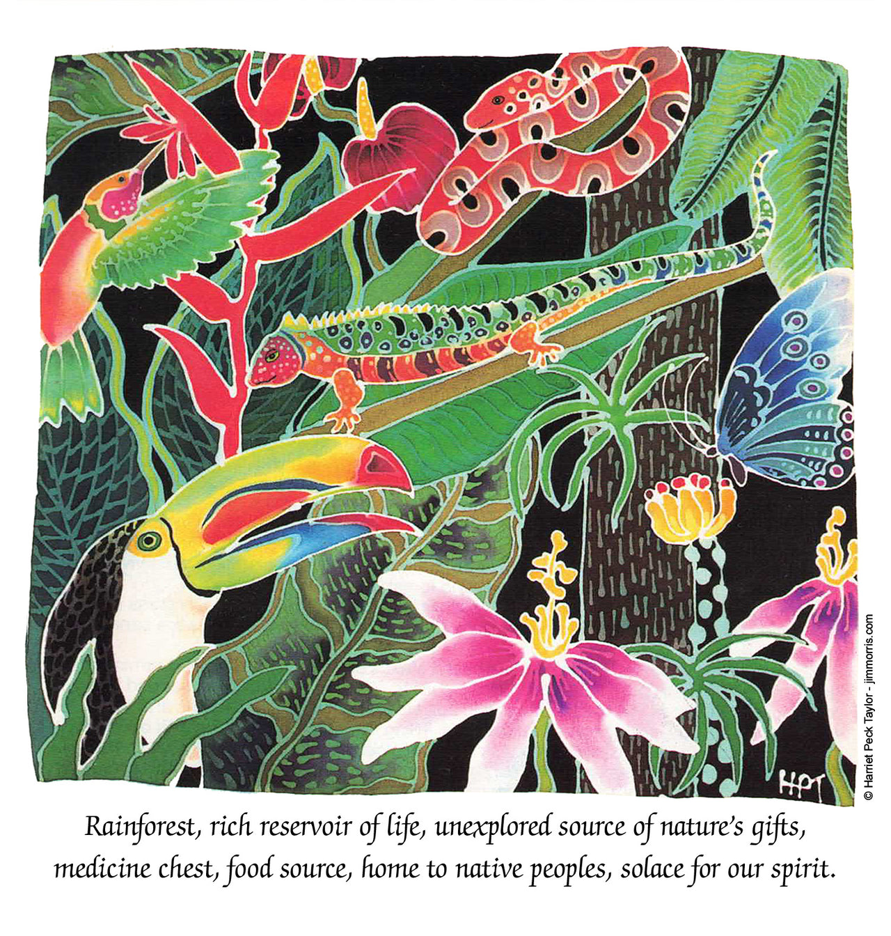 Jungle - EarthDay.org Collaboration