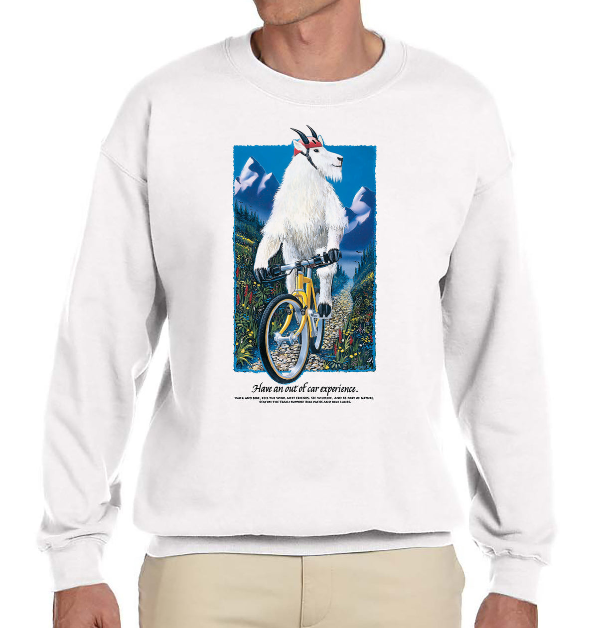 Mountain Goat
