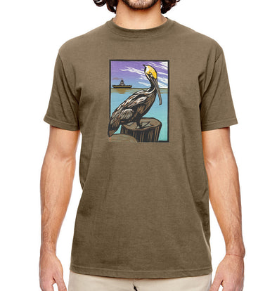 Pelican