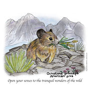 Illustration of an American pika in a mountainous landscape with text about the wild.
