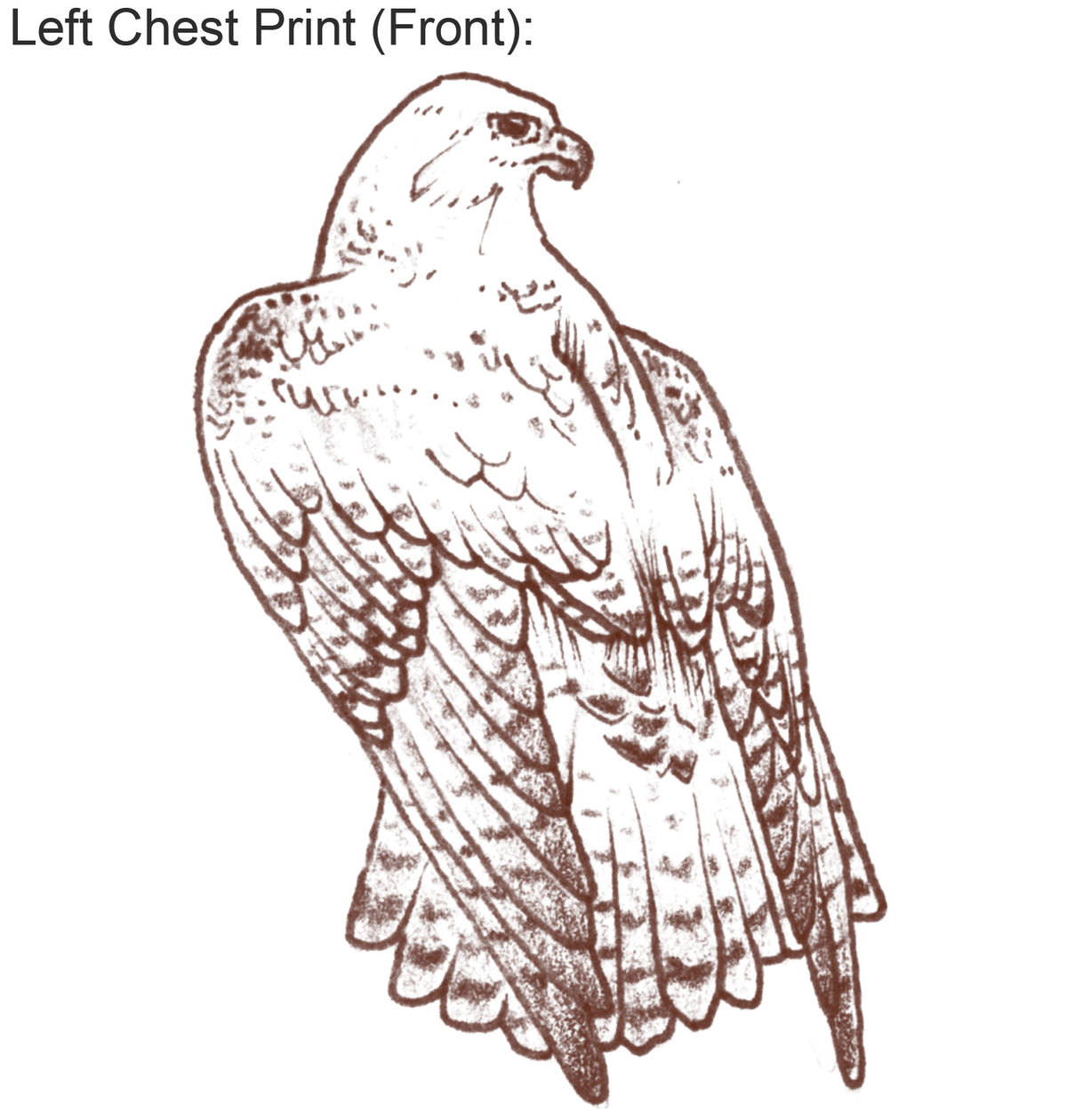 Birds of Prey