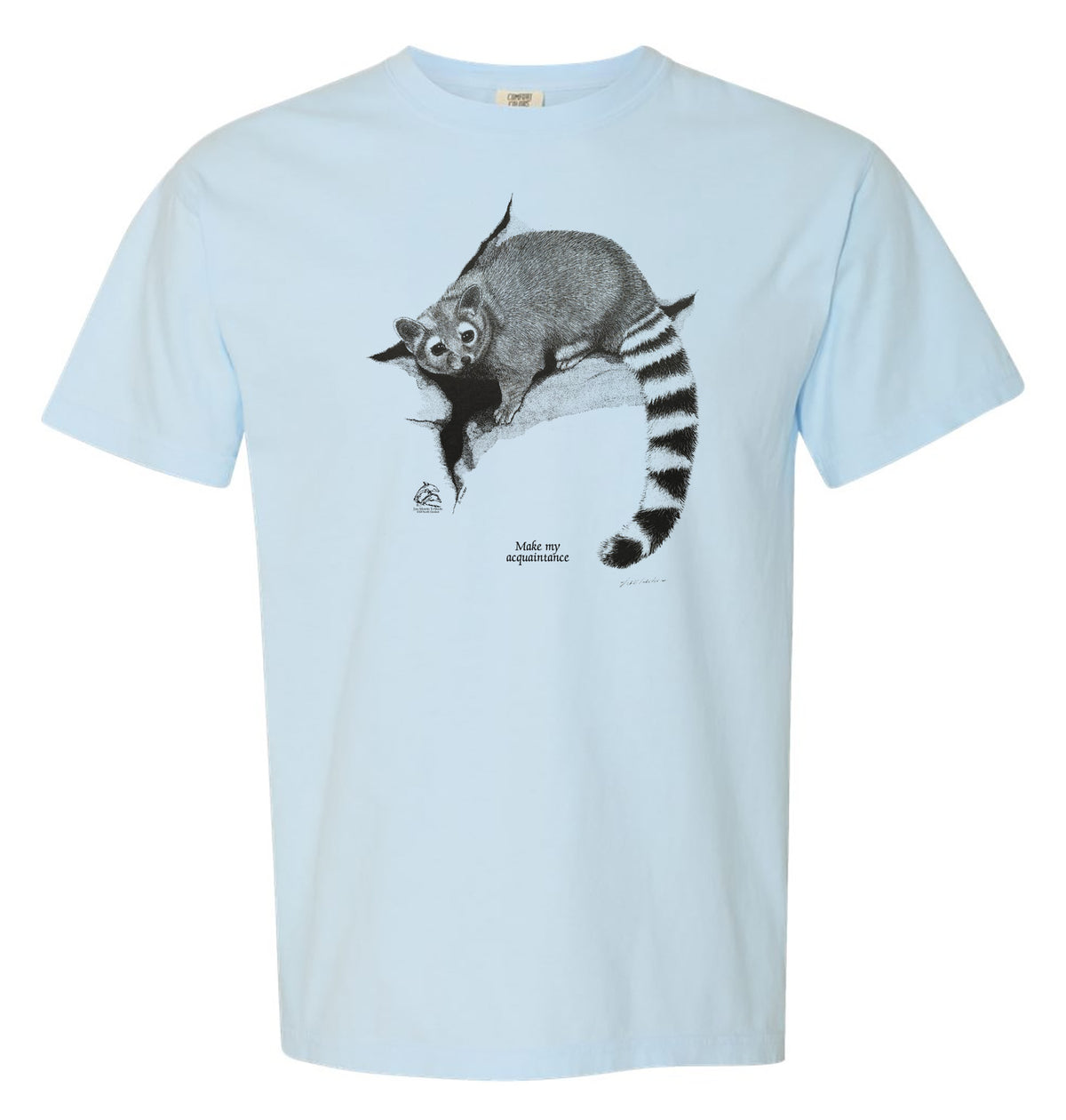 Ringtail