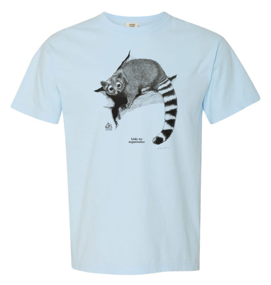 Ringtail