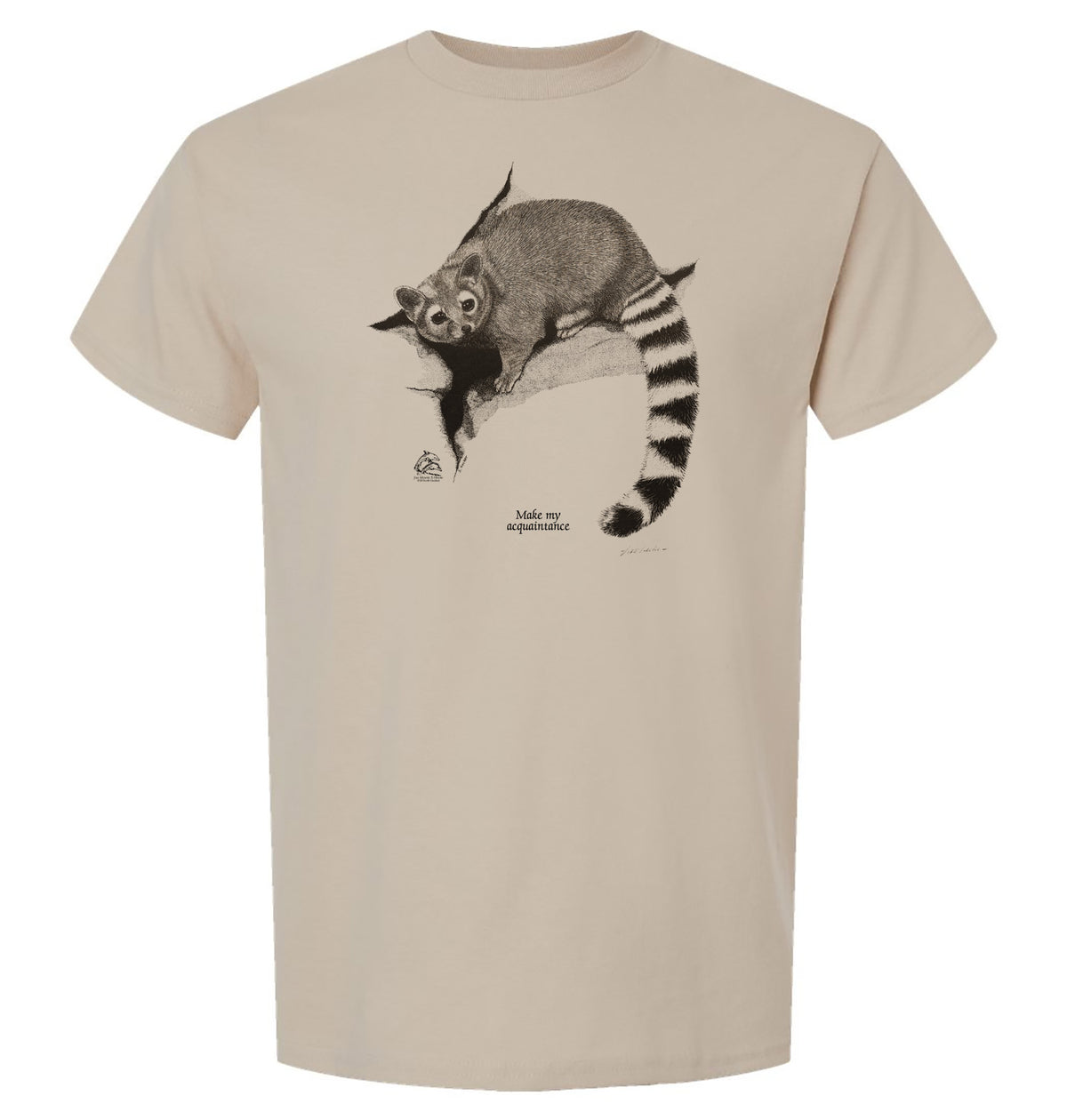 Ringtail