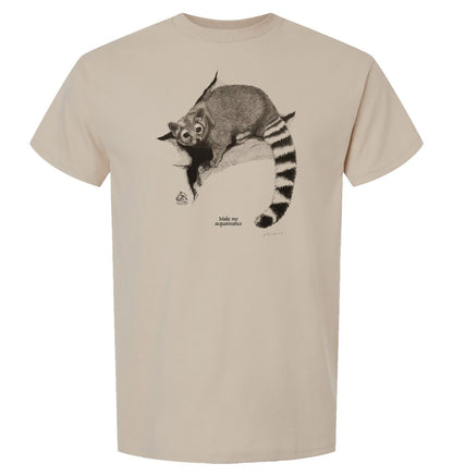 Ringtail