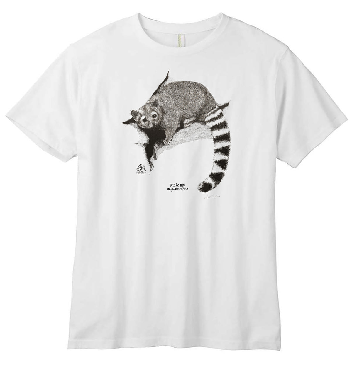 Ringtail