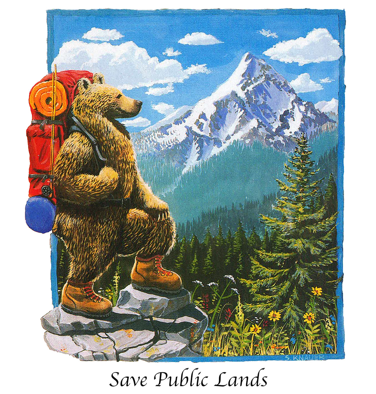 Save Public Lands