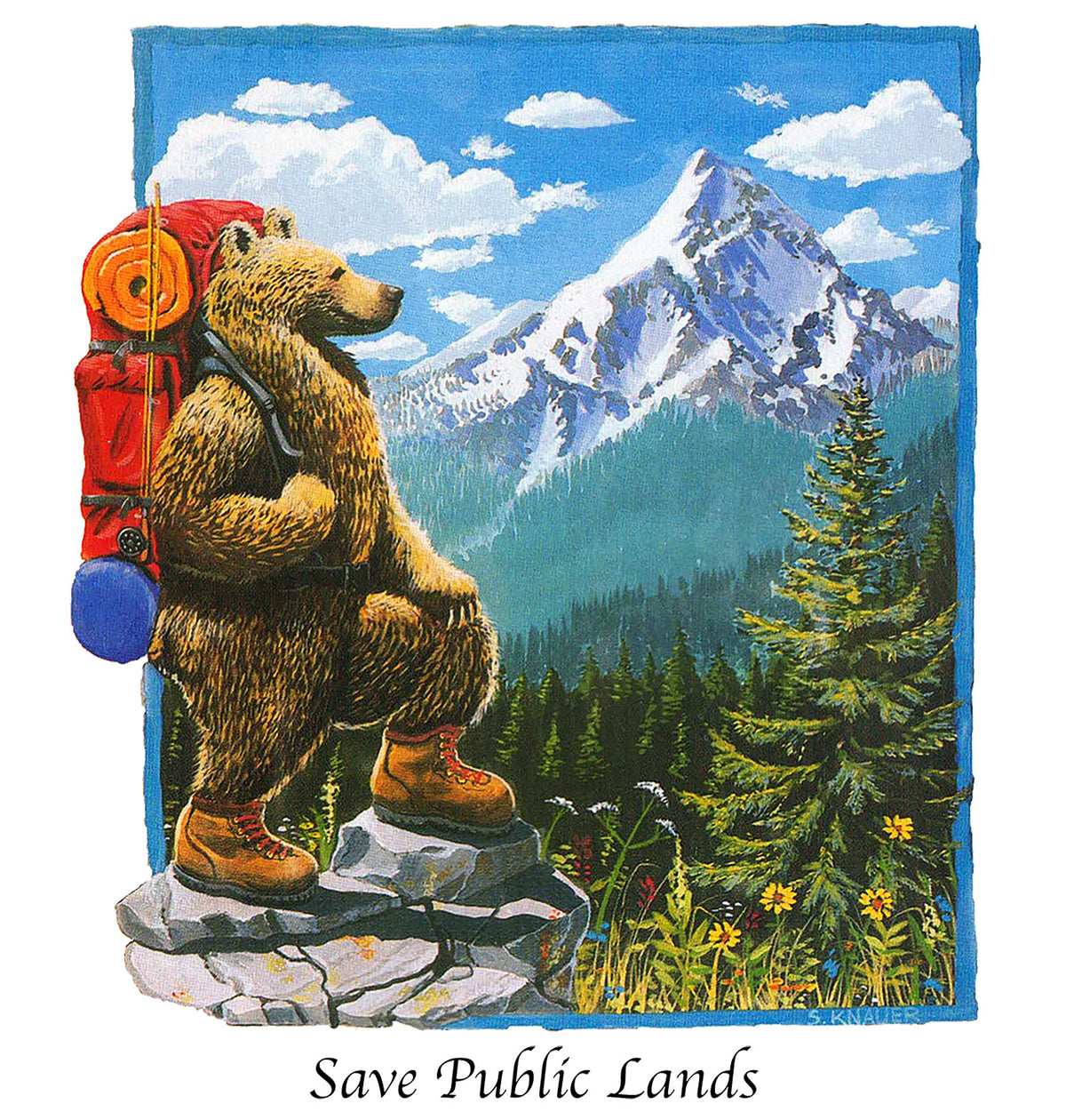 Save Public Lands